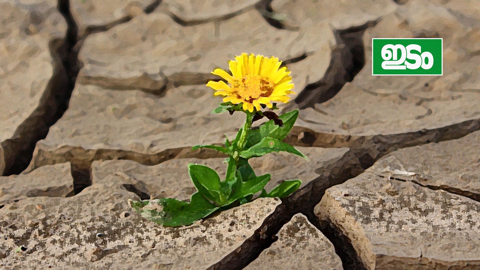 Fahima-on-marumarangal